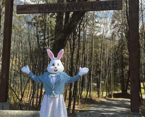 43E12512-4755-4C5F-B376-EC13EB8CB87A