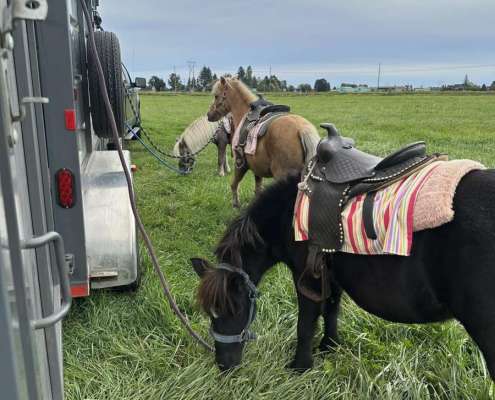 483886252_1061200079378086_696922965525482176_n